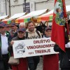 53-teden-cvicka, vinogradniska-povorka
