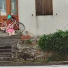 števerjan, navijači, dirka po italiji1.jpg