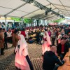 teden-cvicla, festival-cvicka, cvickarija