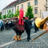 teden-cvicla, festival-cvicka, cvickarija