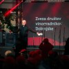teden-cvicla, festival-cvicka, cvickarija