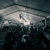 teden-cvicla, festival-cvicka, cvickarija