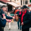 teden-cvicla, festival-cvicka, cvickarija