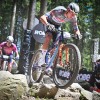 van der poel.jpg