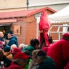 teden-cvicla, festival-cvicka, cvickarija