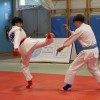 drzavno-prvenstvo-v-ju-jitsu-borbah, sd-bushido