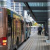 avtobus
