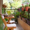 aromaterapija naslovna-jun22.jpg