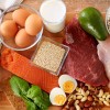Beljakovine, proteini