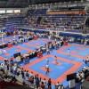karate