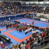 karate