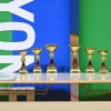 lendava, badminton, tekmovanje
