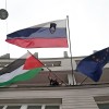 940537_127_palest.jpg