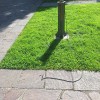 vandalizem