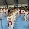 karate