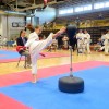karate-klub-brezice-soltec