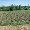 toča-junij-2025, obisk-ervin-kosi, sekretar, neurje-goričko