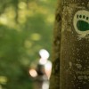 kocevsko-outdoor-festival-2025