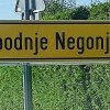 Spodnje Negonje