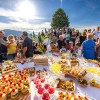 cebelji-paradiz, andraz-nad-polzelo