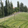 dirka-po-sloveniji, dirka-po-sloveniji-2025, jeruzalem, kolesarji, kolesarjenje