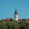 vestnikov-vlak-2025
