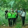 trdinova-pot, du-dolenjske-toplice