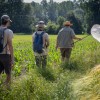 bioblitz, radenska, flora, favna