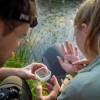 bioblitz, radenska, flora, favna
