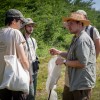 bioblitz, radenska, flora, favna