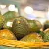 avokado