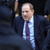 harvey weinstein.jpg