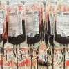 krvodajalstvo-blood-bags-91170.jpg