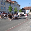 trebanjski-kos, trebnje