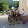 trebanjski-kos, trebnje