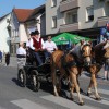 trebanjski-kos, trebnje