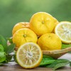 yuzu