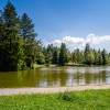 bohinjsko jezero.jpg