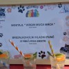 macje-mesto, radenci