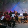 akademija, sentjernej, dan-drzavnosti