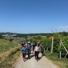 mirnopesko-brencanje