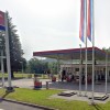 petrol petrina.jpg