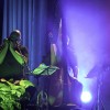 33-kresna-noc-mokronog