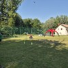 traktorske-kosilnice, tekmovanje, verzej