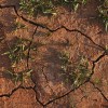 soil-15540_1280.jpg