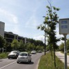 radar, merilnik hitrosti