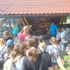 tabor-žabec
