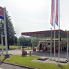 petrol petrrina.jpeg