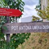anton-umek-okiski