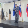 zdslu, razstava, galerija-umelka, bratislava